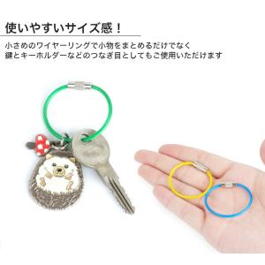 ワイヤーキーリング キーチェーン キーホルダー...の詳細画像3