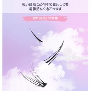 つけまつげ 部分用 つけまつ毛 大容量 目元 ...の詳細画像4