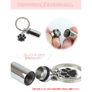 ペット 遺骨 カプセル 二重構造 プラケース ...の詳細画像4