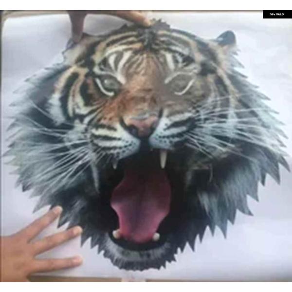 並行輸入品スペアパーツ ステッカー スペアタイヤカバー FORD ECOSPORT RAV4 ステッ...