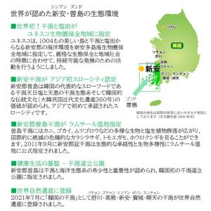 韓国新安郡曽島太平塩「天尊の塩(R)」熟成1年物の詳細画像4
