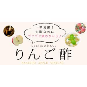 りんご酢 送料無料 【ハチミツ入り りんご酢 ...の詳細画像2