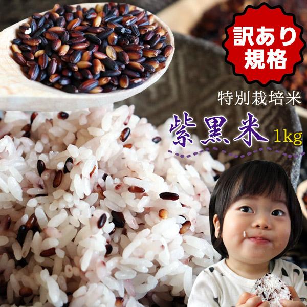 健康を食べよう！毎日の白米に混ぜて炊くだけ 送料無料 【青森県産特別栽培米 紫黒米 1kg】玄米 し...