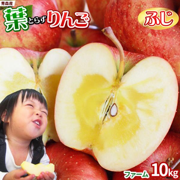 葉っぱの影は甘さのサイン【葉とらずりんご ふじ１０ｋｇ ファーム】家庭用(26-46玉)青森 送料無...