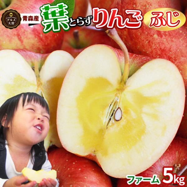 葉っぱの影は甘さのサイン【葉とらずりんご ふじ５ｋｇ ファーム】家庭用(13-23玉)  青森 送料...