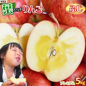 金さん　甘平2kg×２箱ぐるりん 楽天市場】【甘精堂本店】小さなりんごパイ 6個セット ギフト