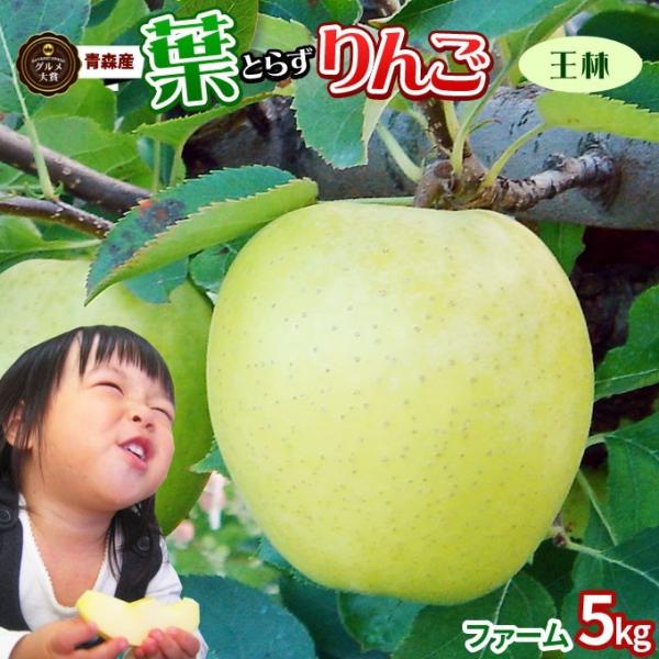 葉っぱの影は甘さのサイン 【葉とらずりんご 王林５kg ファーム】 家庭用(13-23玉) 青森 送...