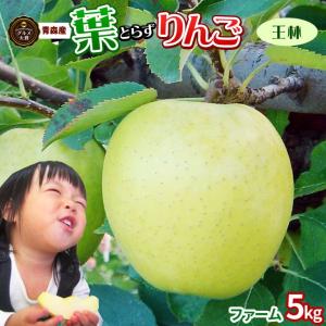 りんご の常識を変える★葉とらず栽培【葉とらずりんご 王林５kg ファーム】家庭用(13-23玉)[※産地直送のため同梱不可][※冷蔵便]
