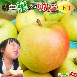 葉っぱの影は甘さのサイン 【葉とらずりんご トキ5kg ファーム】(13-23玉)家庭用 ゴールド農園 送料無料 とき [※産地直送同梱不可]