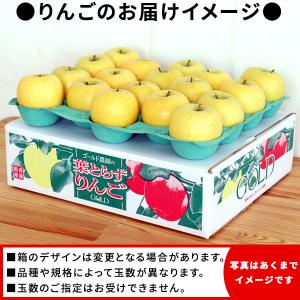 葉っぱの影は甘さのサイン 【葉とらずりんご ト...の詳細画像4