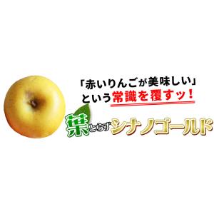 葉っぱの影は甘さのサイン 【葉とらずりんご ト...の詳細画像5