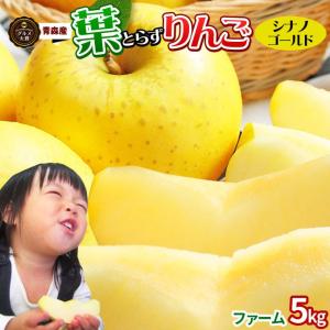 葉っぱの影は甘さのサイン【葉とらずりんご シナノゴールド5kg ファーム】家庭用（13-23玉）本場青森 GOLD農園 送料無料 [※産地直送品同梱不可][冷蔵便]