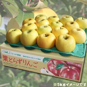 葉っぱの影は甘さのサイン【葉とらずりんご シナ...の詳細画像2