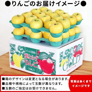 葉っぱの影は甘さのサイン【葉とらずりんご シナ...の詳細画像1