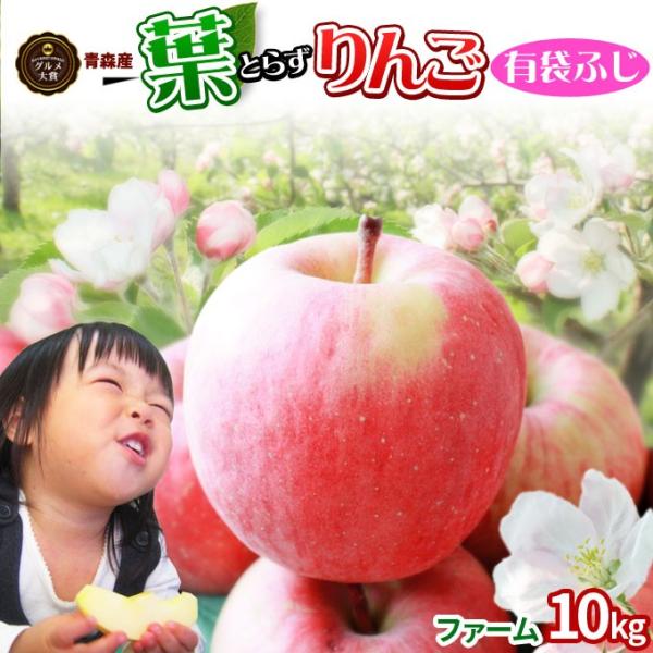 葉っぱの影は甘さのサイン【葉とらずりんご ふじ（有袋）ファーム10kg】家庭用(26-46玉) 本場...