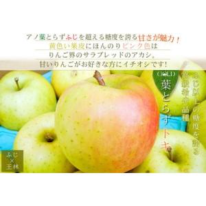 葉っぱの影は甘さのサイン 【葉とらずりんご ト...の詳細画像1
