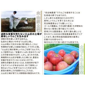 葉っぱの影は甘さのサイン 【葉とらずりんご ト...の詳細画像4