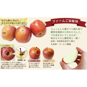 葉っぱの影は甘さのサイン 【葉とらずりんご ト...の詳細画像5