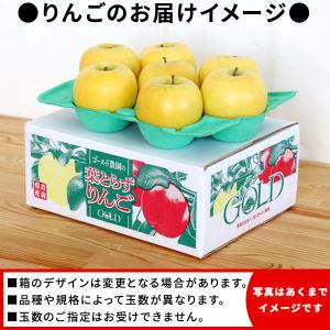 葉っぱの影は甘さのサイン【葉とらずりんご シナ...の詳細画像1