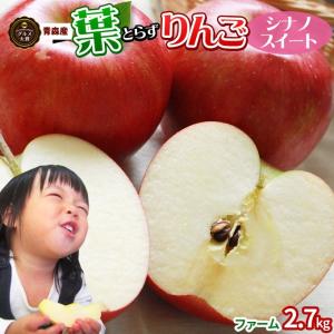 葉っぱの影は甘さのサイン 【葉とらずりんご シナノスイート2.7kg ファーム】家庭用 (7-12玉) 青森 ゴールド農園 送料無料 りんご [※産地直送のため同梱不可]