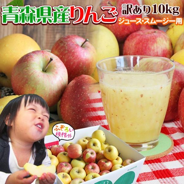 りんご 訳あり 10kg 送料無料 【青森県産 訳あり りんご10kg】 加工用 規格外品(バラ詰め...