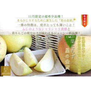 葉っぱの影は甘さのサイン【葉とらずりんご 星の...の詳細画像3