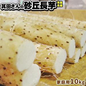 青森県産 砂丘長いも 訳あり    山芋 とろろ 長芋 長いも