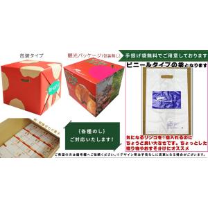 青森 りんご 丸ごと アップルパイ【気になるり...の詳細画像2