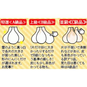 青森県産 田子 にんにく 特選Lサイズ 送料無...の詳細画像1