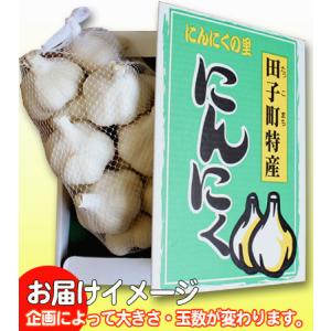青森県産 田子 にんにく 特選Lサイズ 送料無...の詳細画像2