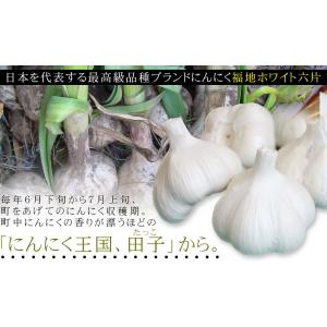 青森県産 田子 にんにく 特選Lサイズ 送料無...の詳細画像4