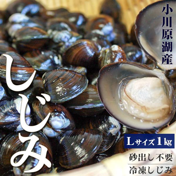 青森 しじみ貝 販売 送料無料【小川原湖産 冷凍しじみ Lサイズ1kg（500g×2パック）】便利な...