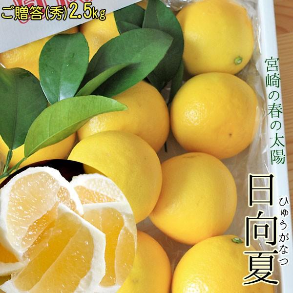 宮崎県産　ひゅうがなつ 【日向夏（秀）2.5kg】 12-15玉前後 直径7-10cm位です 露地栽...