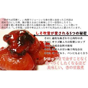 青森 あんず 甘露煮 【いしたのしそ吹雪150...の詳細画像4