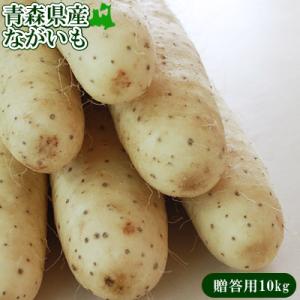 長芋 送料無用 青森県 東北町 七戸町産【青森県産ながいも贈答用5kg