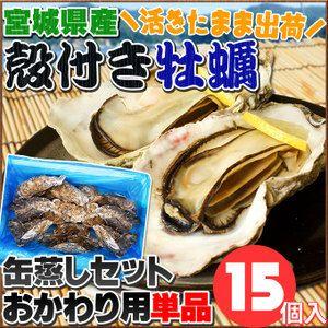 活きたまま発送！宮城県産【殻付き牡蠣 同梱用単品】(缶無し15個詰め) 鮮度抜群☆おかわり用単品販売。[※クール便][※他商品と同梱不可]