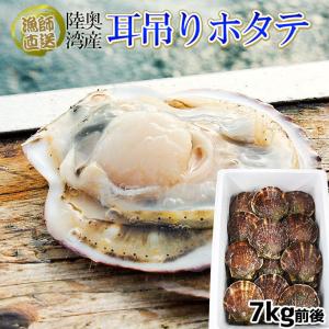 ほたて 活貝 送料無料 青森陸奥湾 【耳吊り ホタテ 7kg前後35-55枚】メガセット 鮮度が命の漁師直送便！ [※冷蔵便][※産地直送のため同梱不可]｜cameashi