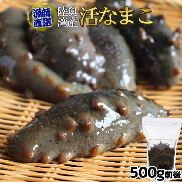 青森県陸奥湾産 なまこ 送料無料 【活なまこ500g前後】有名な陸奥湾に面した野辺地町の ナマコ を...