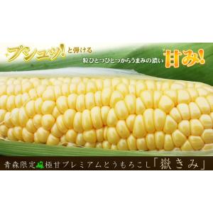 極みの極甘 とうもろこし 嶽きみ 送料無料 青...の詳細画像1