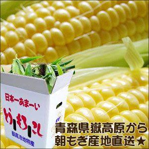 極みの極甘 とうもろこし 嶽きみ 送料無料 青...の詳細画像2