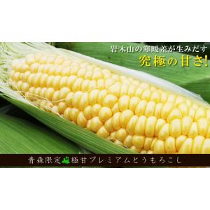 極みの極甘 とうもろこし 嶽きみ 送料無料 青...の詳細画像3