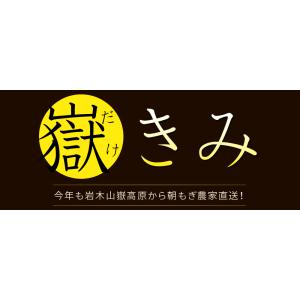 極みの極甘 とうもろこし 嶽きみ 送料無料 青...の詳細画像4