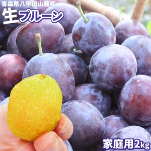 フレッシュ生 プルーン  家庭用 鉄分 ビタミン プラム