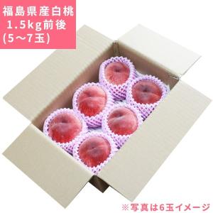 本場の 白桃 贈答用 秀品 送料無料 【福島県...の詳細画像1