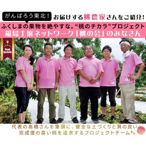 本場の 白桃 贈答用 秀品 送料無料 【福島県...の詳細画像5
