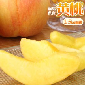 本場の 黄桃 贈答用 秀品 送料無料【福島県産 黄桃 1.5kg前後】（5-7玉） ふくしま土壌ネットワーク 桃の会 黄金桃 黄貴妃 [産地直送のため同梱不可]