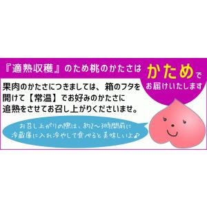 本場の 黄桃 贈答用 秀品 送料無料【福島県産...の詳細画像2