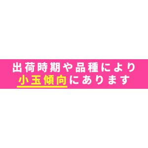 本場の 黄桃 贈答用 秀品 送料無料【福島県産...の詳細画像3