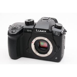 Qシリーズ ペンタックス PENTAX Q10 ボディ シルバー ミラーレス一眼