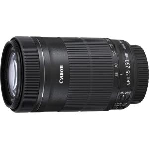 キヤノン Canon EF 75-300mm f/4-5.6 III 美品 EFマウント 望遠